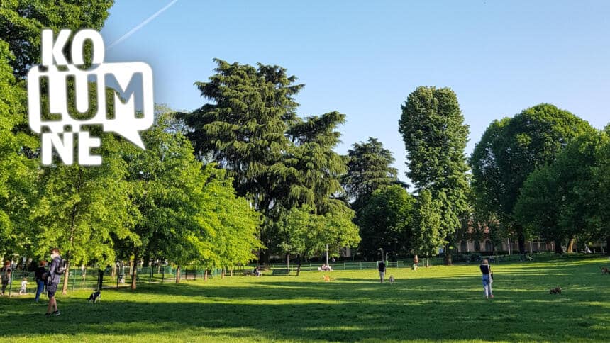 Park im Sommer