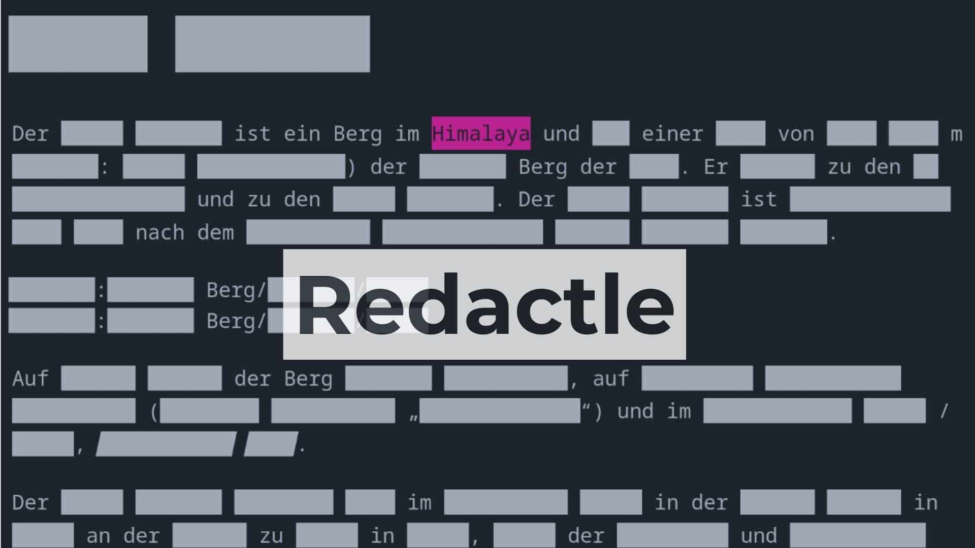 Screenshot vom Spiel Redactle
